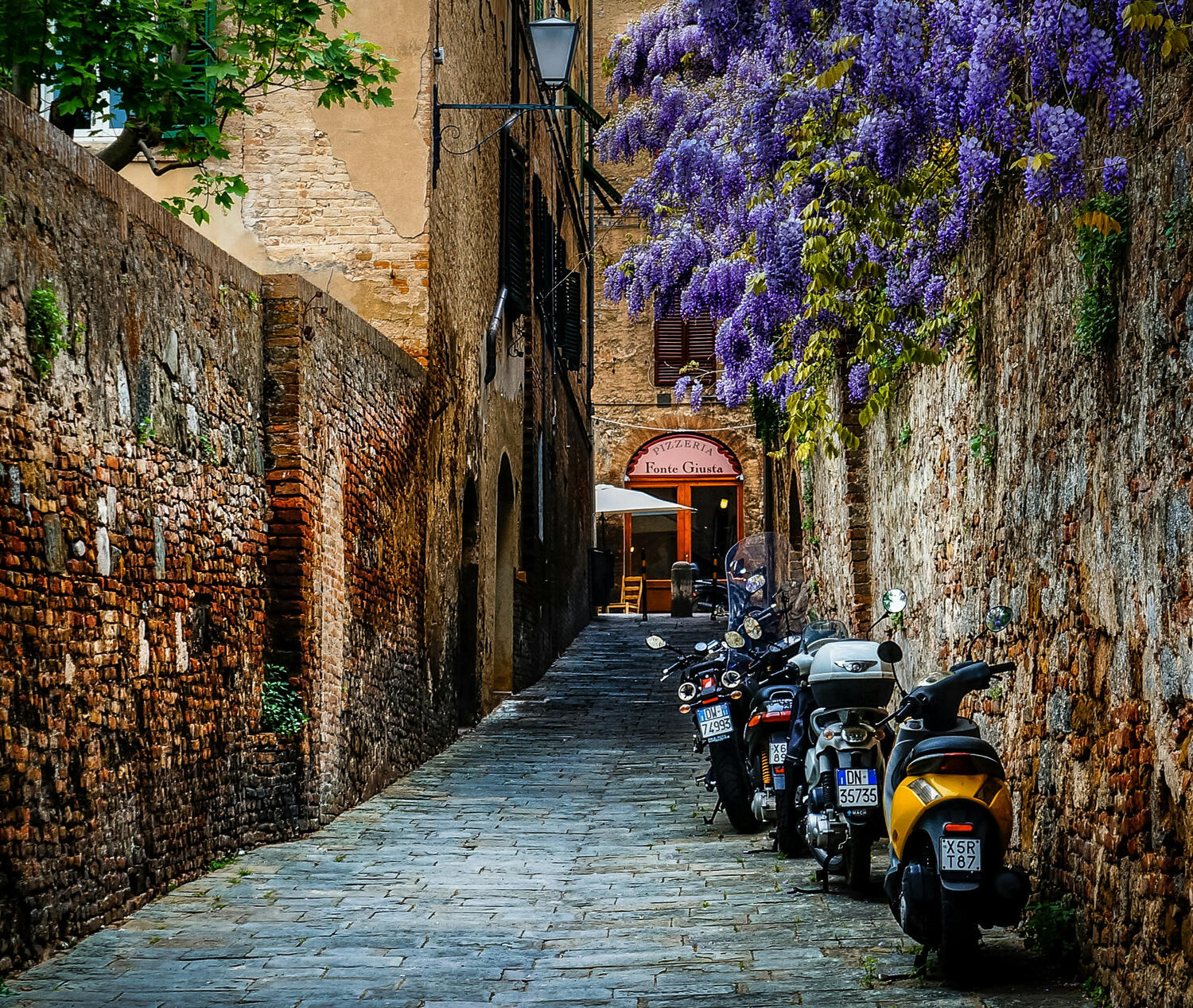 A narrow street featuring a lineup of parked motorcycles and beautiful wisteria, showcasing a bustling urban environment in Tuscany.