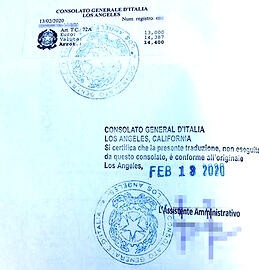 Border control officer reviewing visas and documents for entry into Italy.
